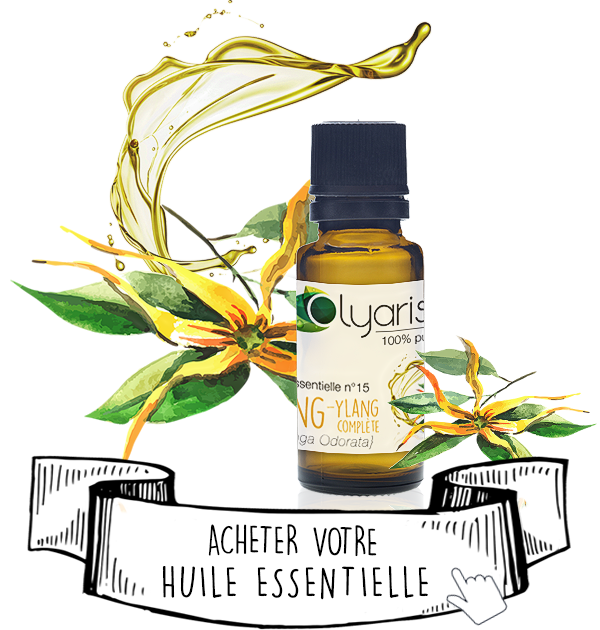 Huile Essentielle d'Ylang ylang : le Guide Complet par Olyaris